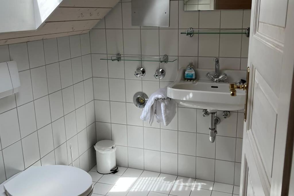 Loewen Appartement Hausach Eksteriør billede