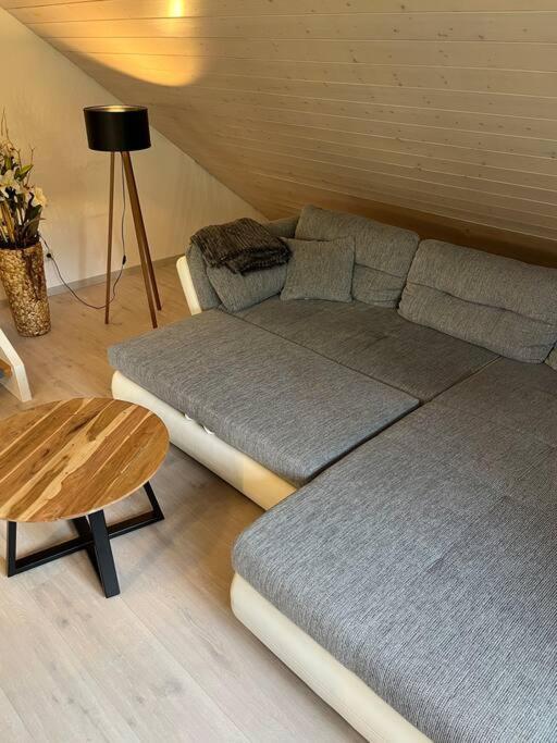 Loewen Appartement Hausach Eksteriør billede